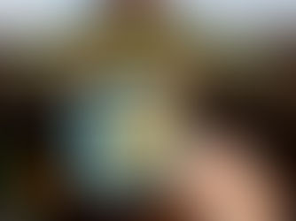 Totally Tubular! Passholders Can Grab a New Crush Magnet at Disney’s Animal Kingdom!