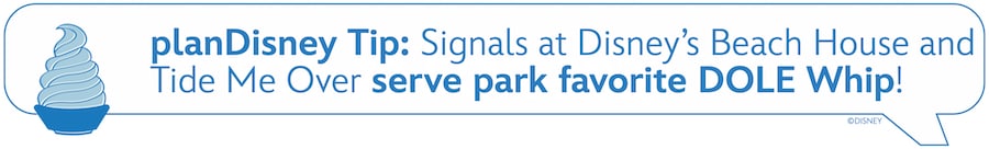 graphic of tip from planDisney panelist