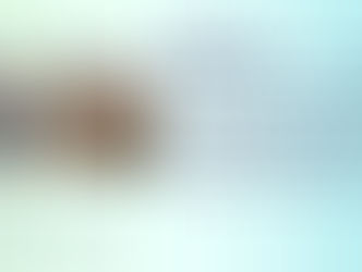 Leading the Charge – the Women Inspiring Conservation and Rhino Care at Disney