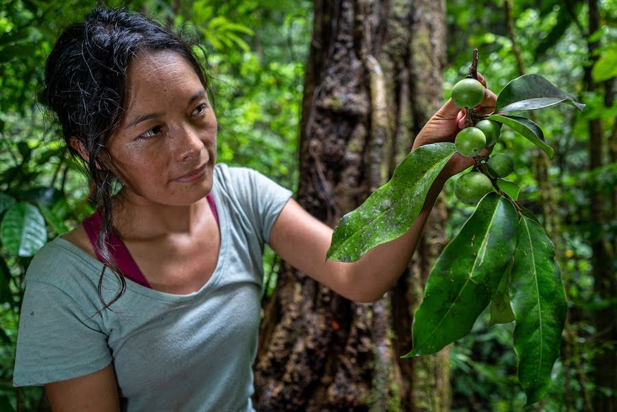 Ruthmery Pillco Huarcaya