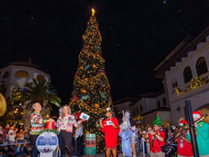 Disney Springs Kicks off the Holiday Season at Walt Disney World with Christmas Tree Lighting!