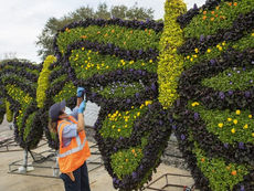 EPCOT International Flower & Garden Festival Will Showcase Blooms, Tunes, Scents and Flavors Beginning March 2