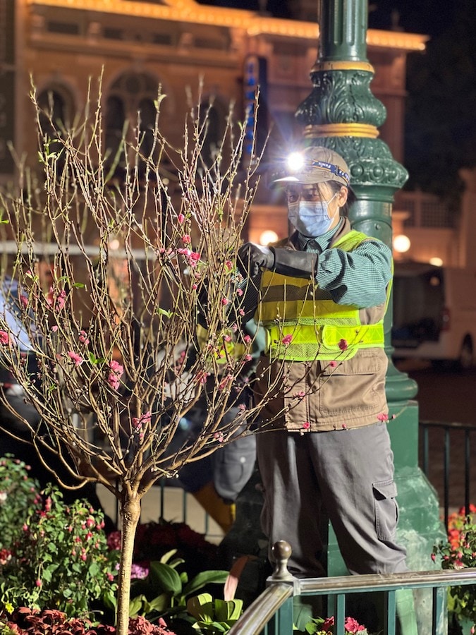 Flowers at Hong Kong Disneyland’s Lunar New Year 2023
