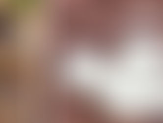 Bee-hind the Scenes of How Disney Recycles Holiday Gingerbread Displays