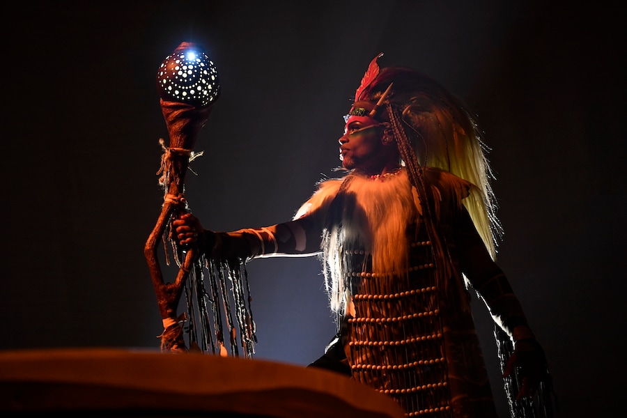 The Lion King: Rhythm of the Pride Lands scene