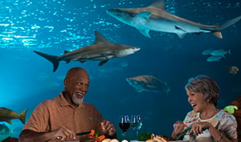 Sharks Underwater Grill