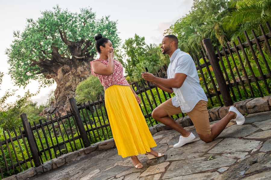 Guests enjoying Disney PhotoPass Capture Your Moment