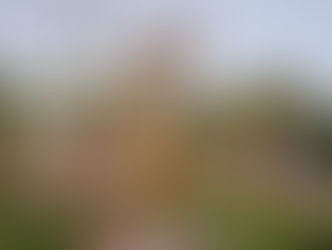 Goofy: 9 Decades of Showing Us ‘How’ It’s Done!