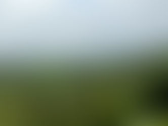 7 Enchanting Experiences on Our British Isles Adventure