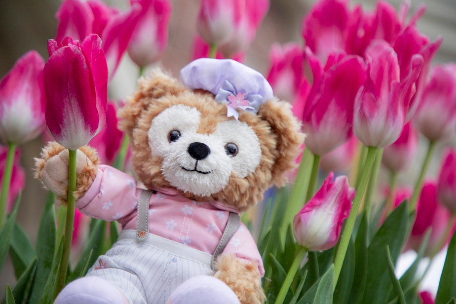 ShellieMay in her Springtime outfit