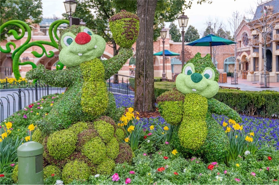 Chip ‘n’ Dale topiaries at Shanghai Disney Resort