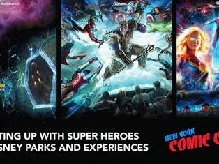 Super Hero Fans Assemble at New York Comic Con
