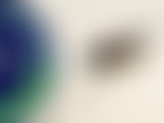 Celebrating 20 Years of Sea Turtle Conservation at Disney’s Vero Beach Resort