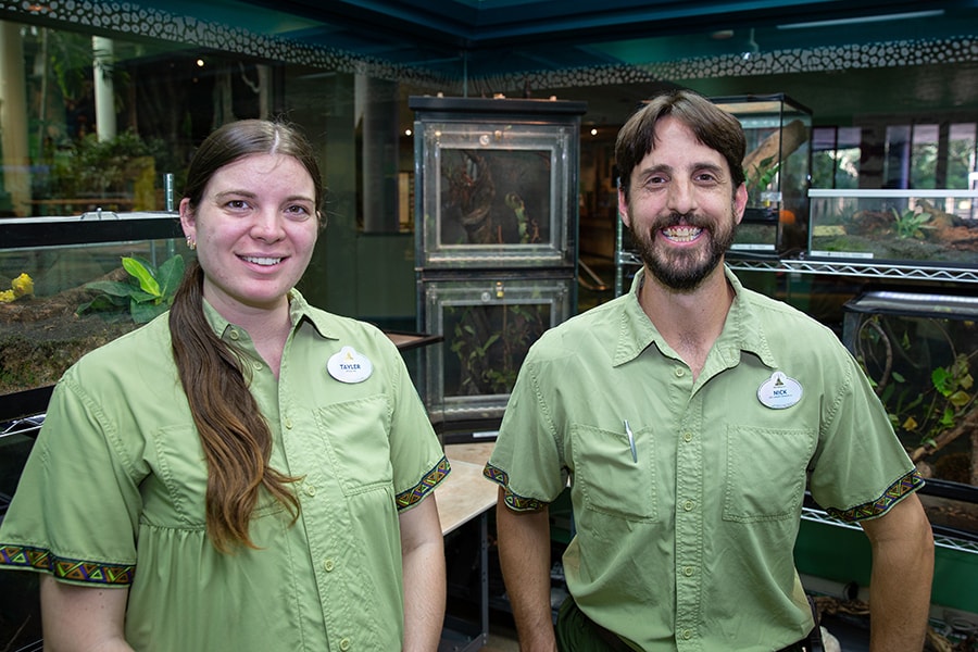 Ectotherm animal keepers Tayler and Nick
