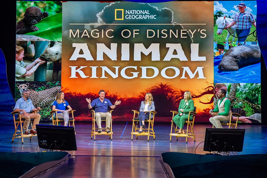 WDW Ambassadors host a panel