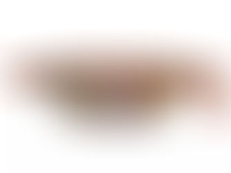 New COACH Collection.