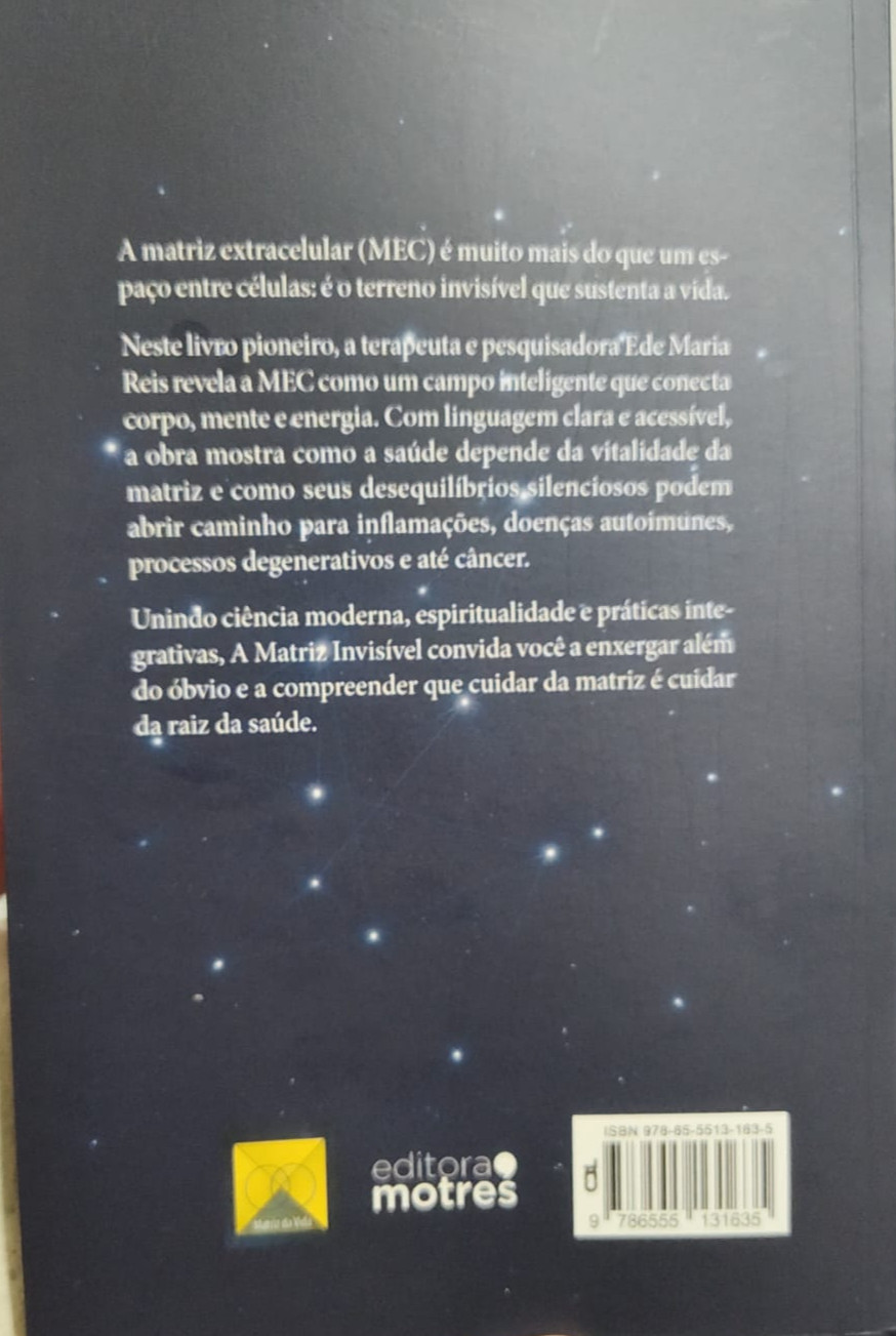 Miniatura: A Matriz Invisível - Ede Maria Reis