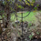 Thumbnail: Bird Feeder Stake with 150mm Shallow Dish
