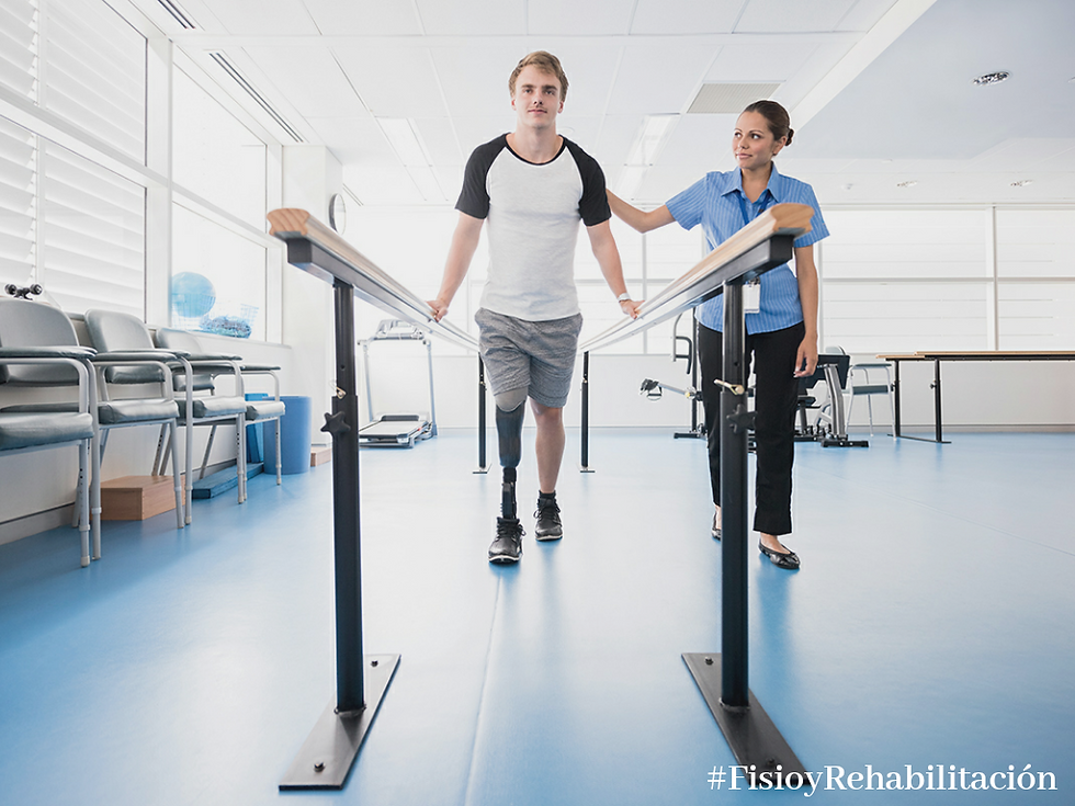 ¿Qué es la fisioterapia?