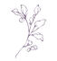 Untitled - August 25, 2026 at 11.00.56 (3).png