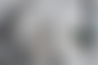 【絕美五星獨棟豪宅 | 新意盎然】