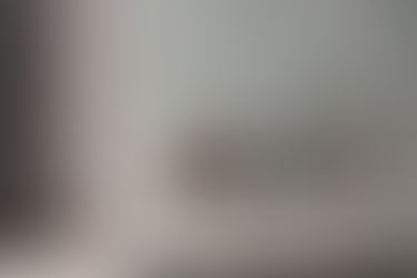 #輕奢華 豪宅 開啟家的優雅篇章