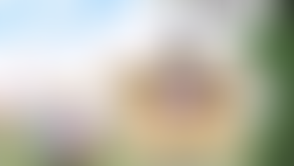 진보적인 메사추세츠주 에서 Planned Parenthood  가 밀어붙인 성교육을 막아낸 담대한 부모들!!