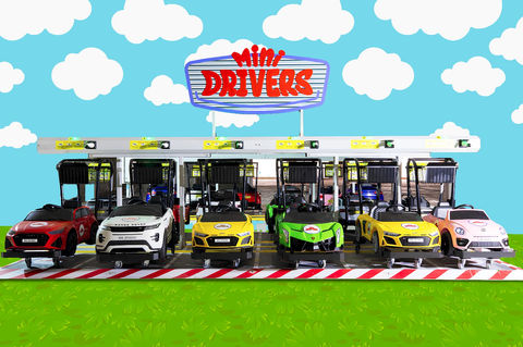 Mini Drivers