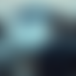 Expert Aviation Management for Jet Aircraft Owners