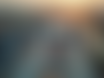 The Scope of Professional Drone Pilot Services