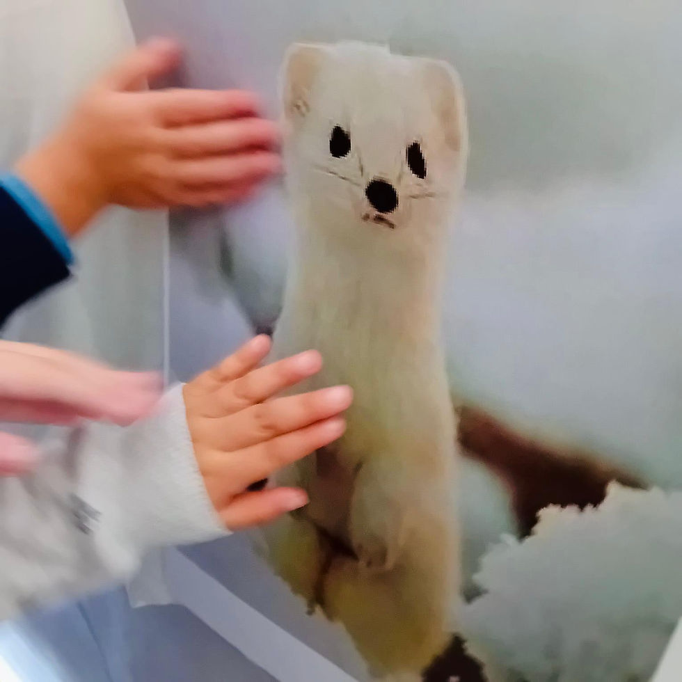 Immagine WhatsApp 2025-10-15 ore 14.45.34_3da787aa