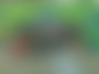 Ready to Roll Driving Academy!