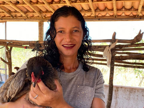 Produção de ovos de galinha caipira se torna fonte de renda para agricultores familiares de Glória