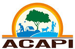 ACAPI sem descrição.jpeg