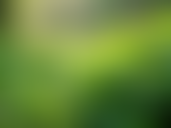 Holistic Wellness: Embrace Botanical Living Today