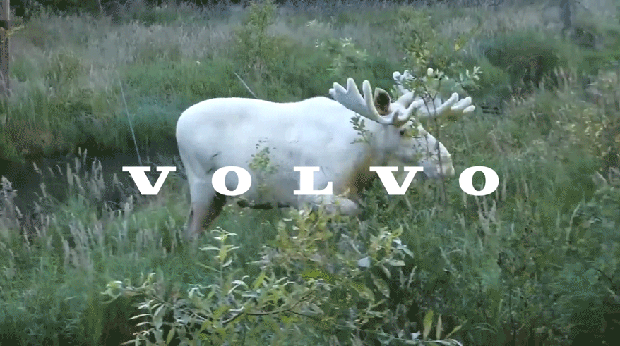 VolvoCover.gif