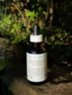 Calm my Anxiety tincture