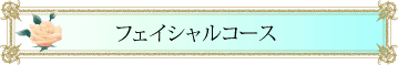 フェイシャルメニュー