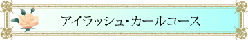 レッスンアイラッシュ・カール