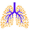 lungs_edited.jpg