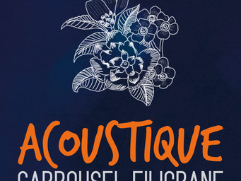 11/01/19 Cinq chansons en acoustique!