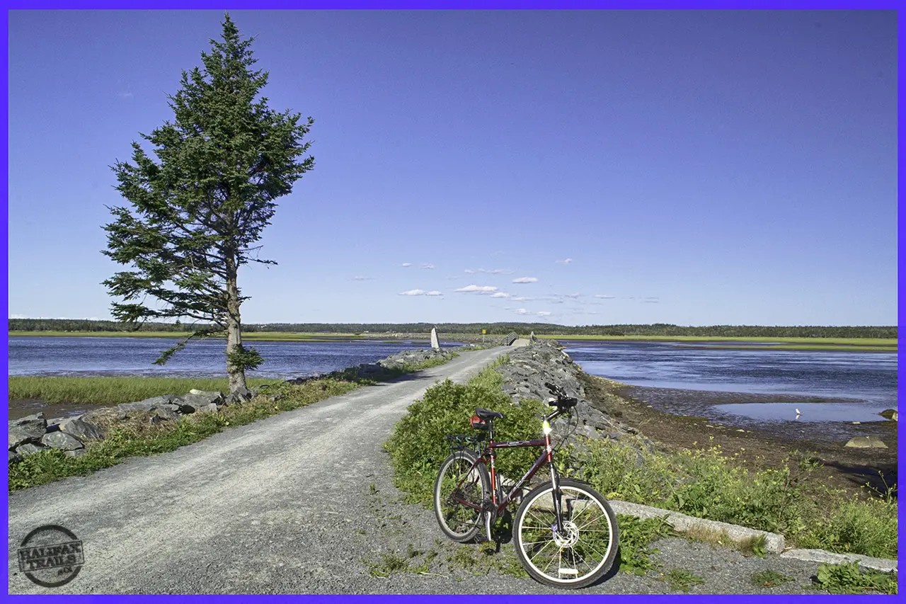 Salt Marsh Walk/Bike
