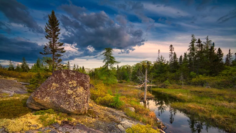 Blue Mountain - Birch Cove Lakes Wilderness Hike 