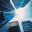 istockphoto-911607886-612x612.jpg