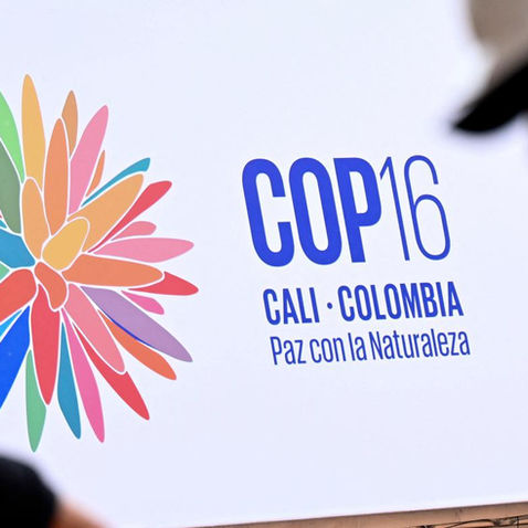 COP16 en Cali: Un Llamado Urgente a la Acción por la Biodiversidad