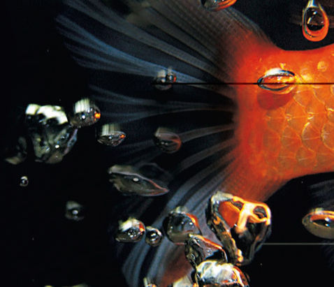 Atrapa el Pez Dorado: David Lynch y el Arte de Conectar con la Creatividad Interior