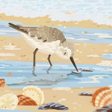 A digital illustration of a sand piper on a beach looking at shells with waves moving in the background