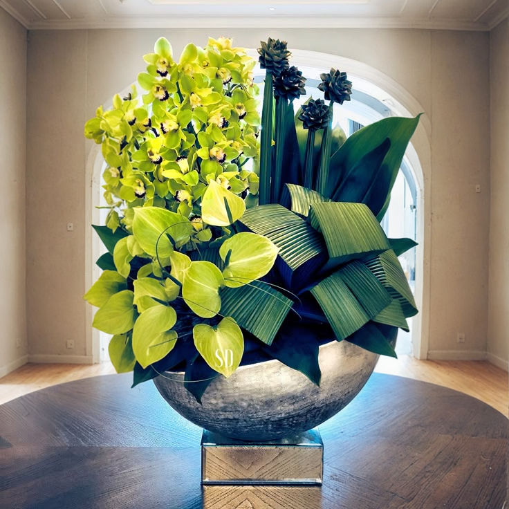 Thumbnail: CYMBIDIUM ORCHIDS