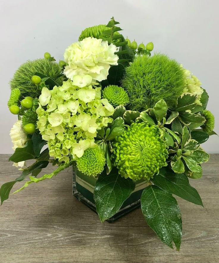 Thumbnail: HYDRANGEAS