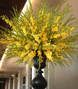 4b958a73-c68e-4f44-a3d3-c277c7b66b2f_edited_edited